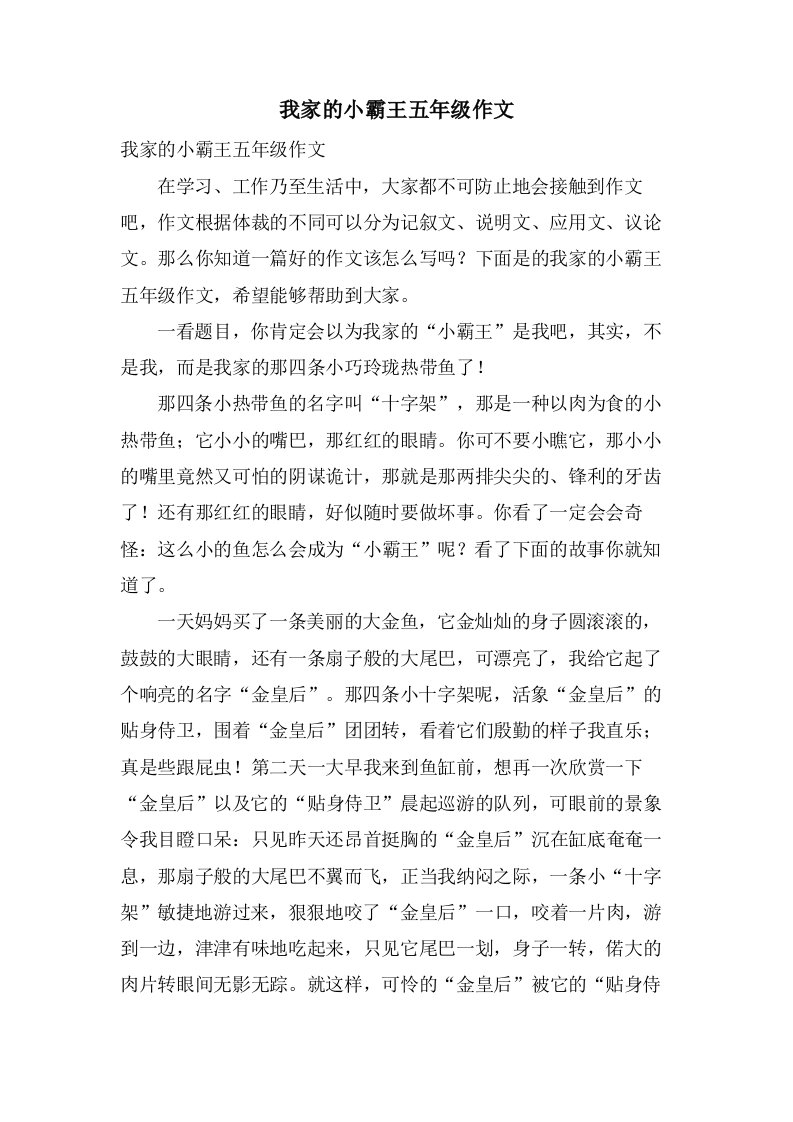 我家的小霸王五年级作文