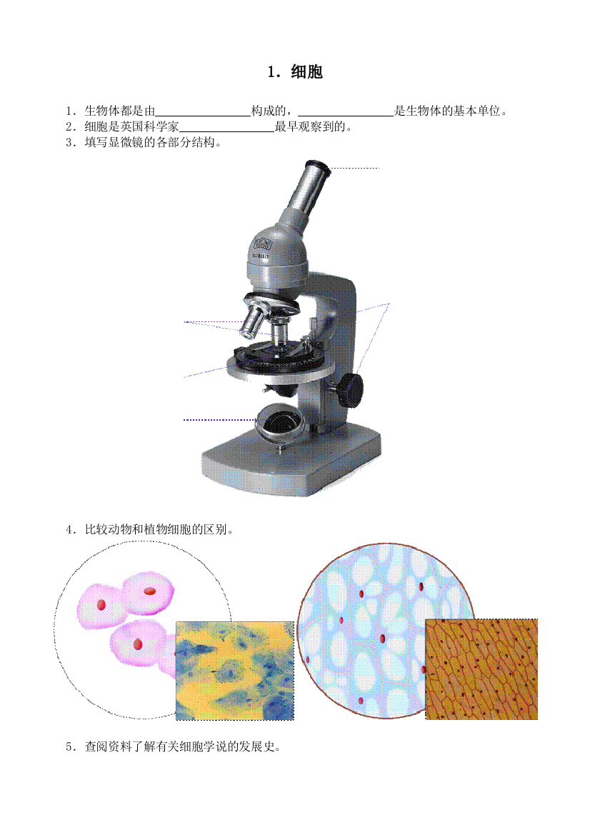 五年级科学