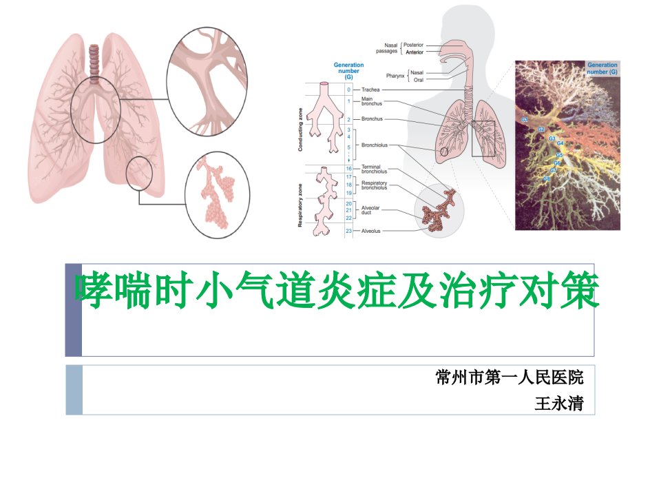 哮喘的小气道炎症(科内稿)