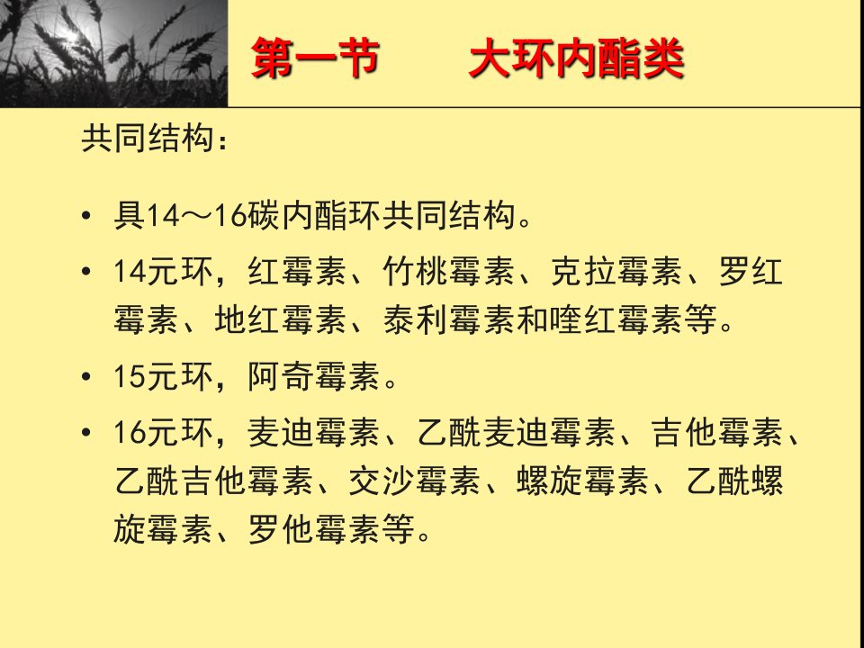 药理学课件37.大环内酯类、林可霉素类及多肽类