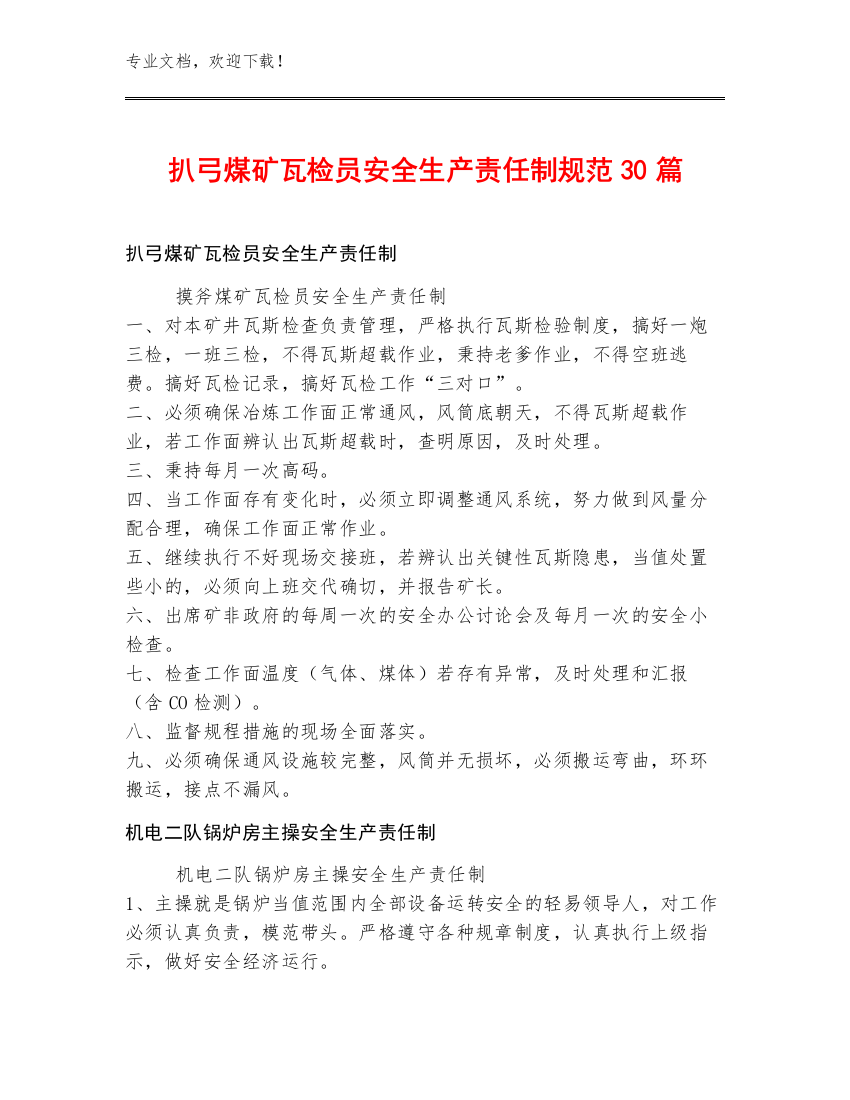 扒弓煤矿瓦检员安全生产责任制规范30篇