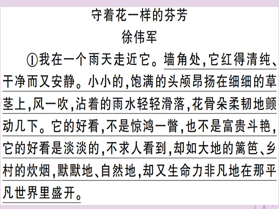 河南专用秋八年级语文上册专题十记叙文阅读习题课件新人教版