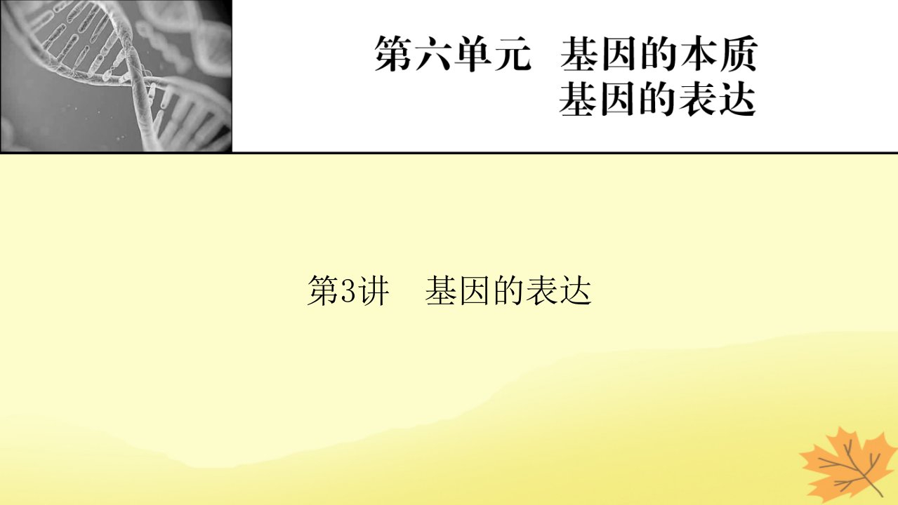 2023版高考生物一轮总复习第6单元基因的本质基因的表达第3讲基因的表达课件