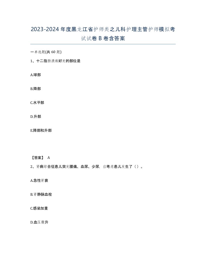 2023-2024年度黑龙江省护师类之儿科护理主管护师模拟考试试卷B卷含答案