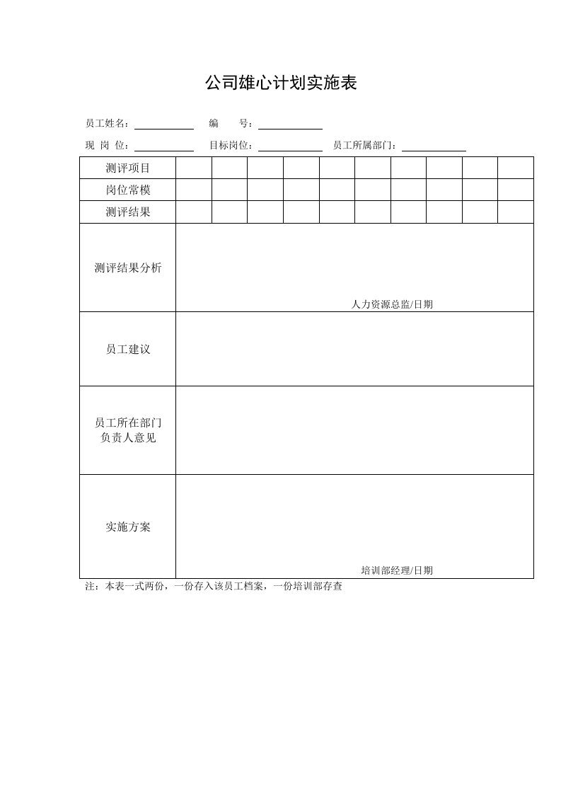 公司雄心计划实施表