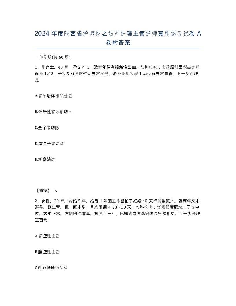 2024年度陕西省护师类之妇产护理主管护师真题练习试卷A卷附答案