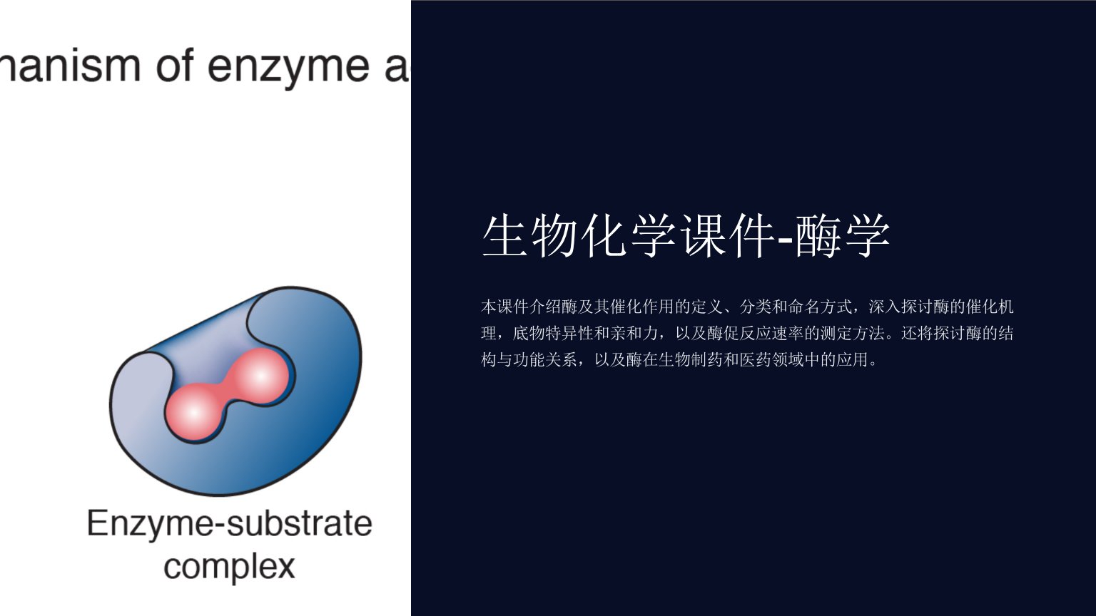 生物化学课件-酶学