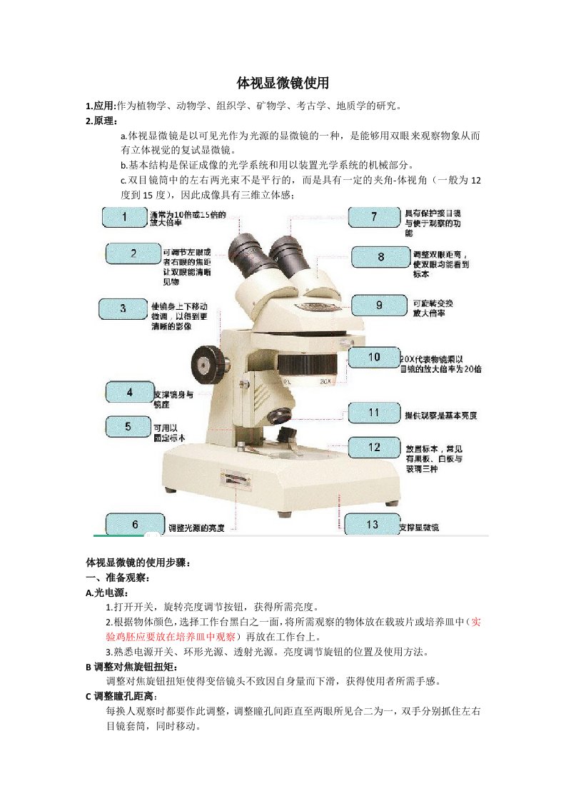 体视显微镜