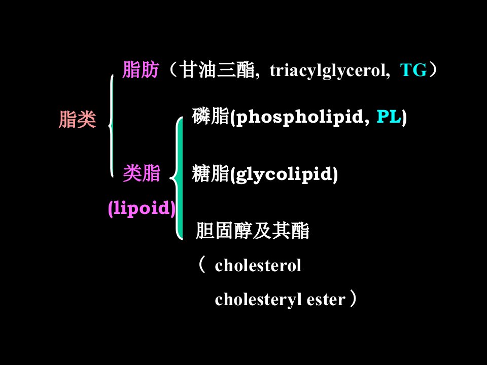 教学课件第十章脂类代谢