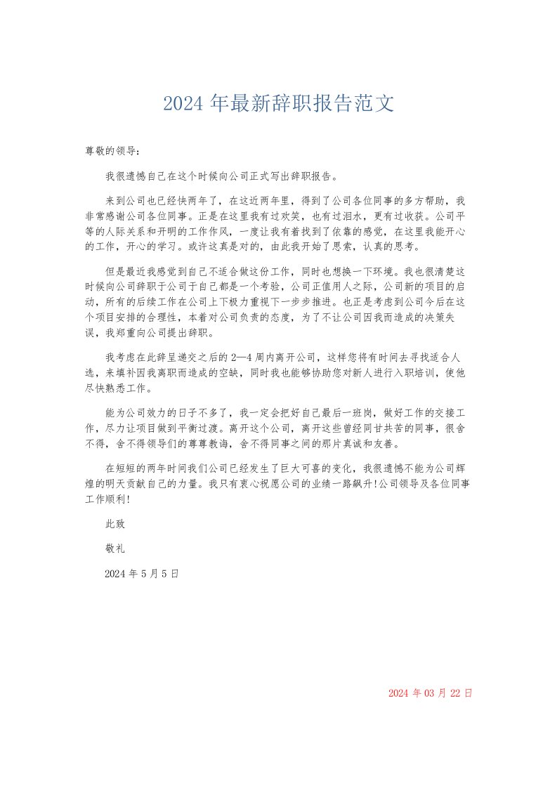 总结报告2024年辞职报告范文001