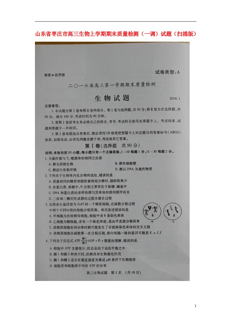 山东省枣庄市高三生物上学期期末质量检测（一调）试题（扫描版）