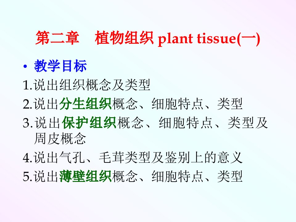 药用植物学植物组织ppt课件