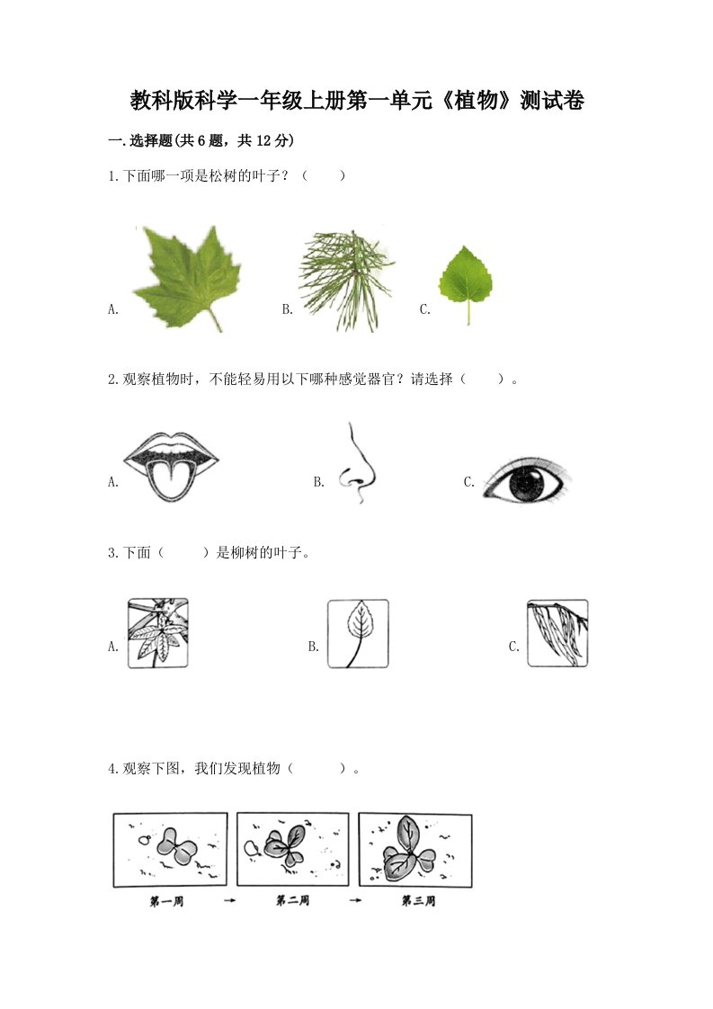 教科版科学一年级上册第一单元《植物》测试卷及答案（真题汇编）