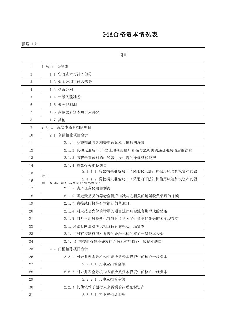 G4A合格资本情况表