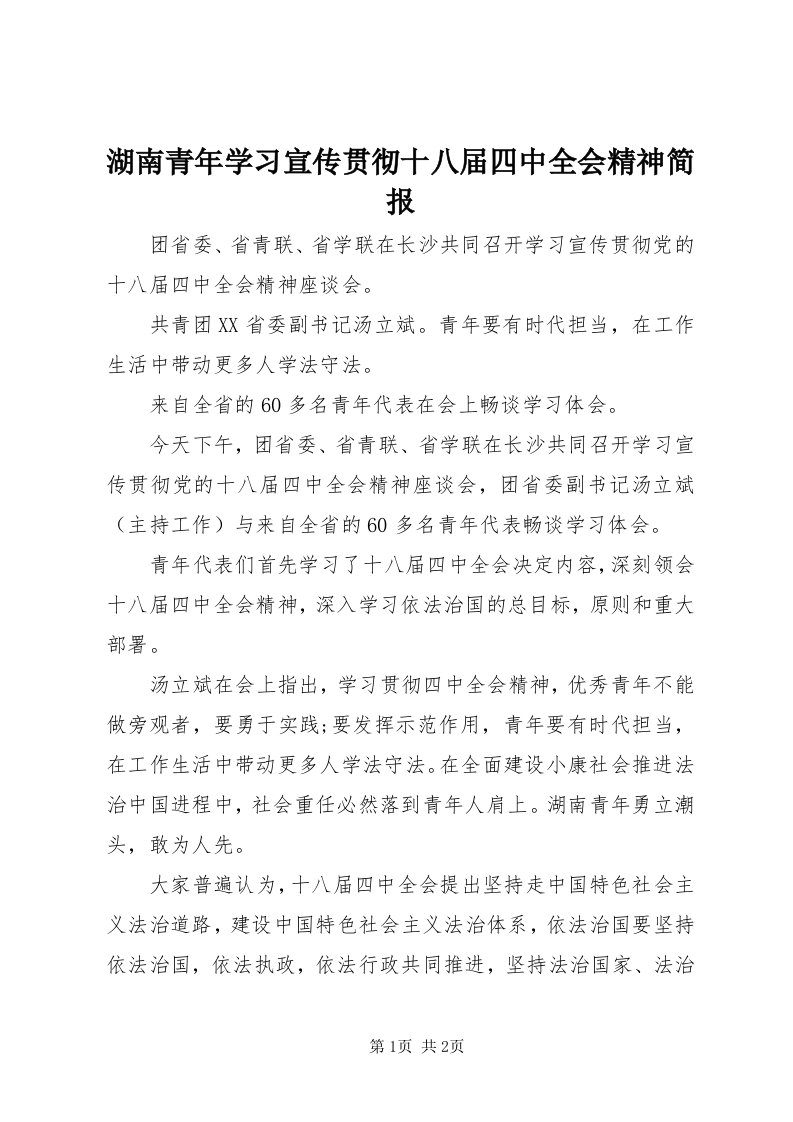 3湖南青年学习宣传贯彻十八届四中全会精神简报