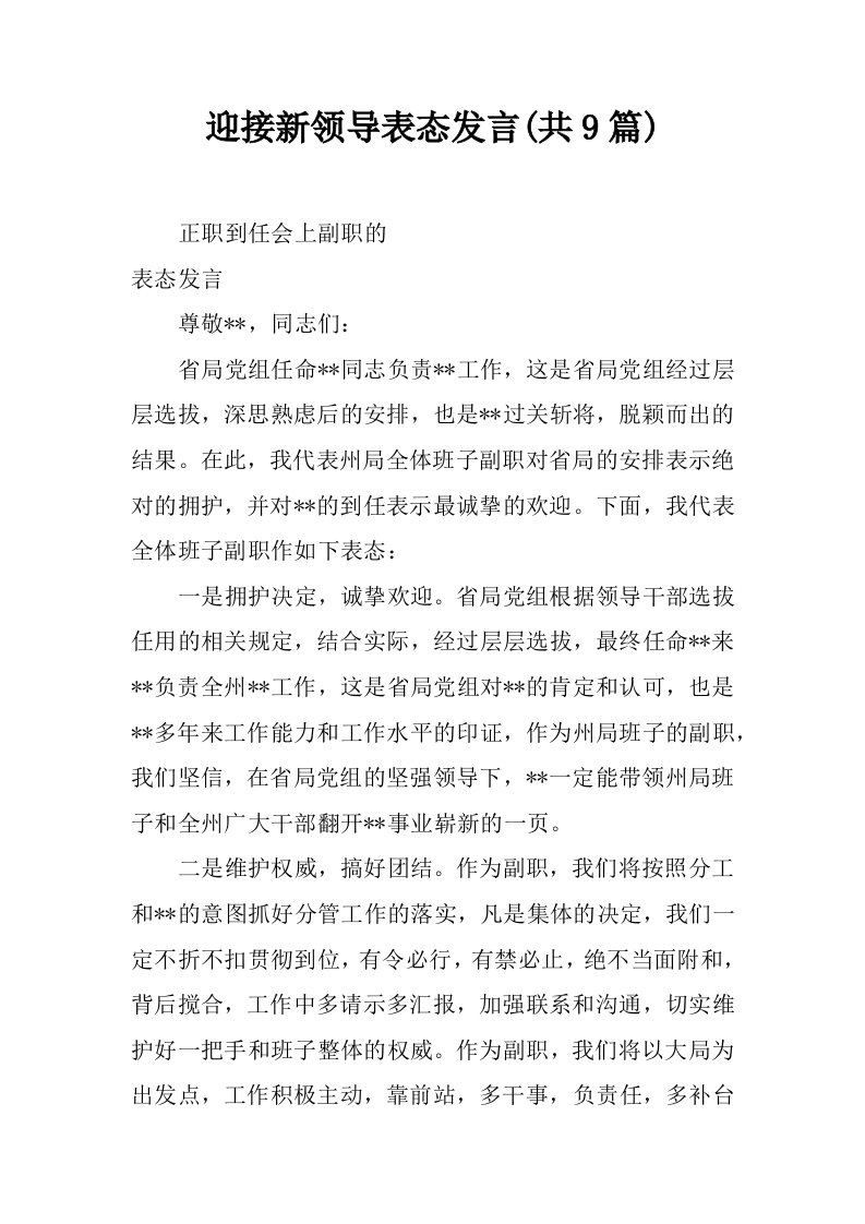 迎接新领导表态发言(共9篇)