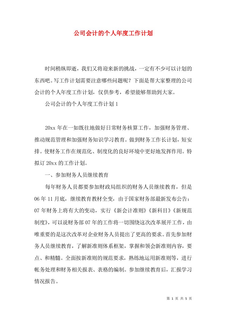 公司会计的个人年度工作计划