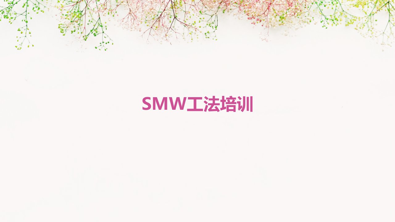 《SMW工法培训》课件