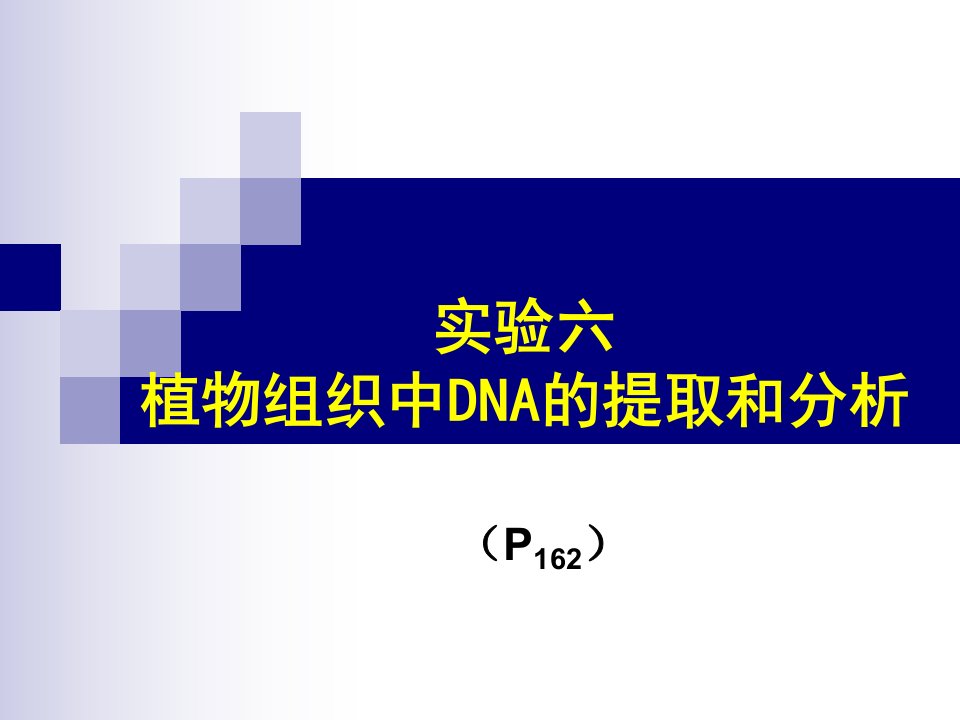 实验六植物DNA提取和分析