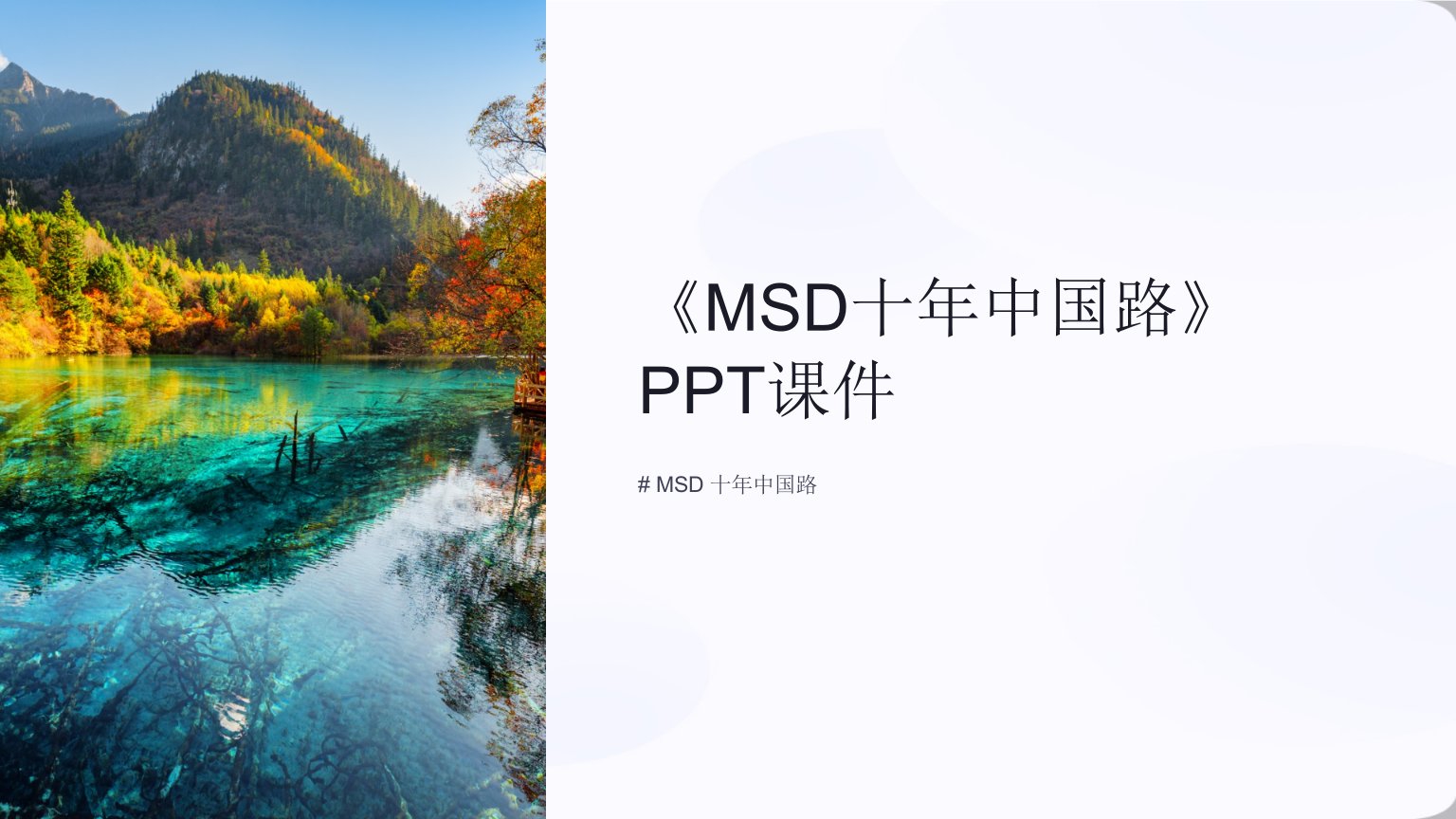 《MSD十年中国路》课件