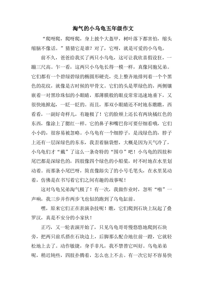 淘气的小乌龟五年级作文