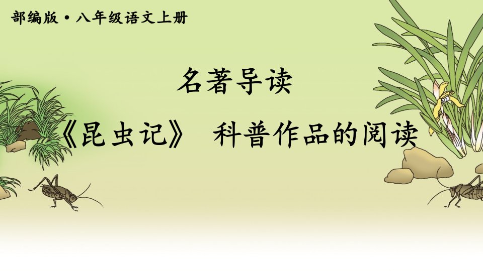 部编八年级语文上册-名著导读《昆虫记》-科普作品的阅读(附习题)课件