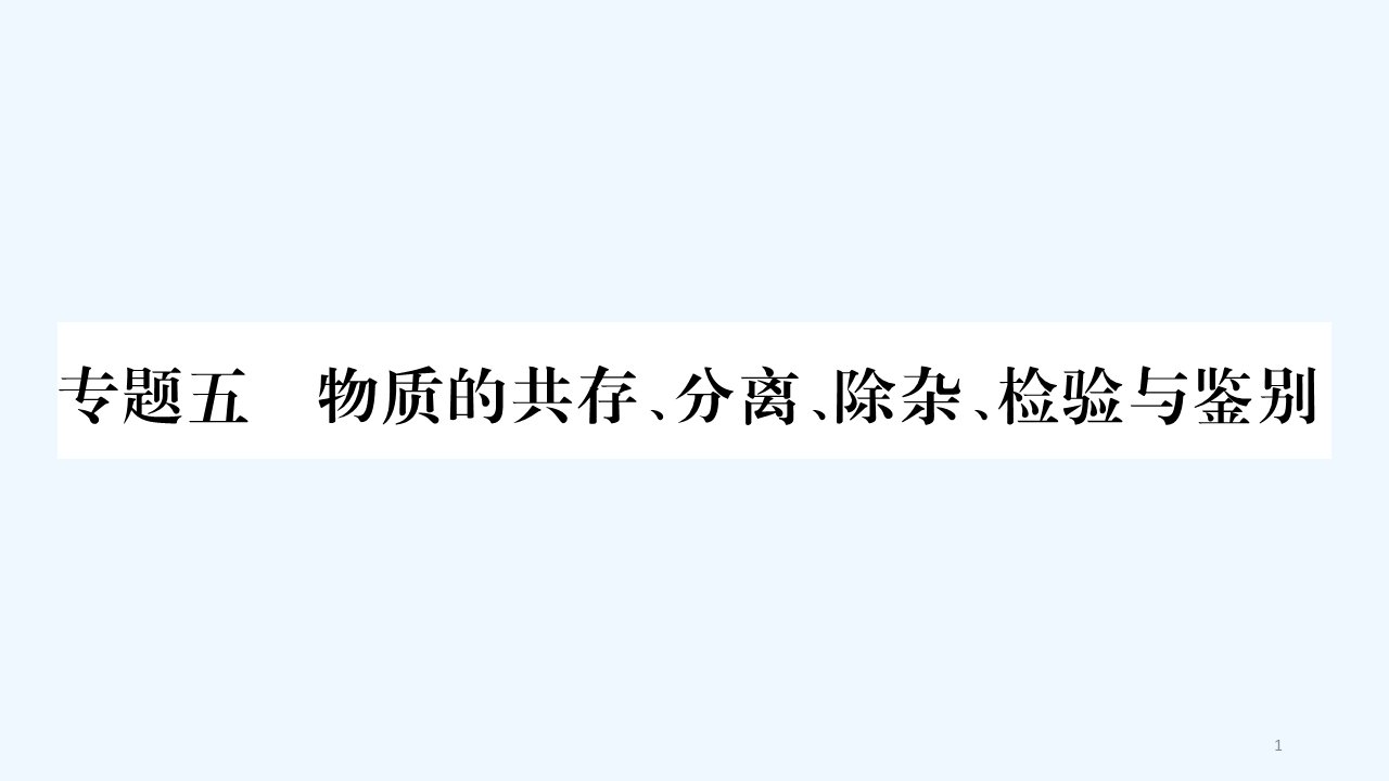 中考化学复习第二部分重难题型专题突破专题五物质的共存分离除杂检验与检验精讲ppt课件