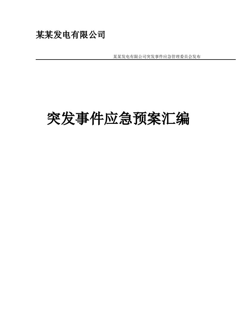 某某发电有限公司应急预案汇编