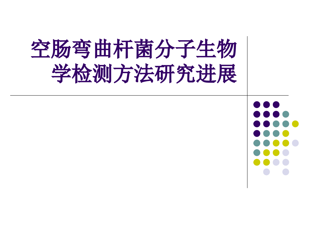 空肠弯曲杆菌分子生物学鉴定ppt课件