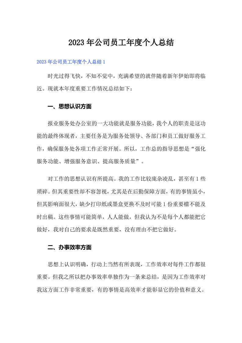 公司员工年度个人总结