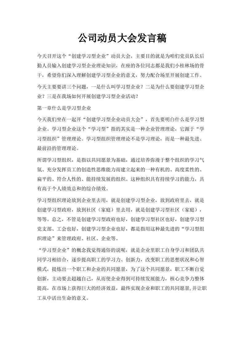 公司动员大会发言稿