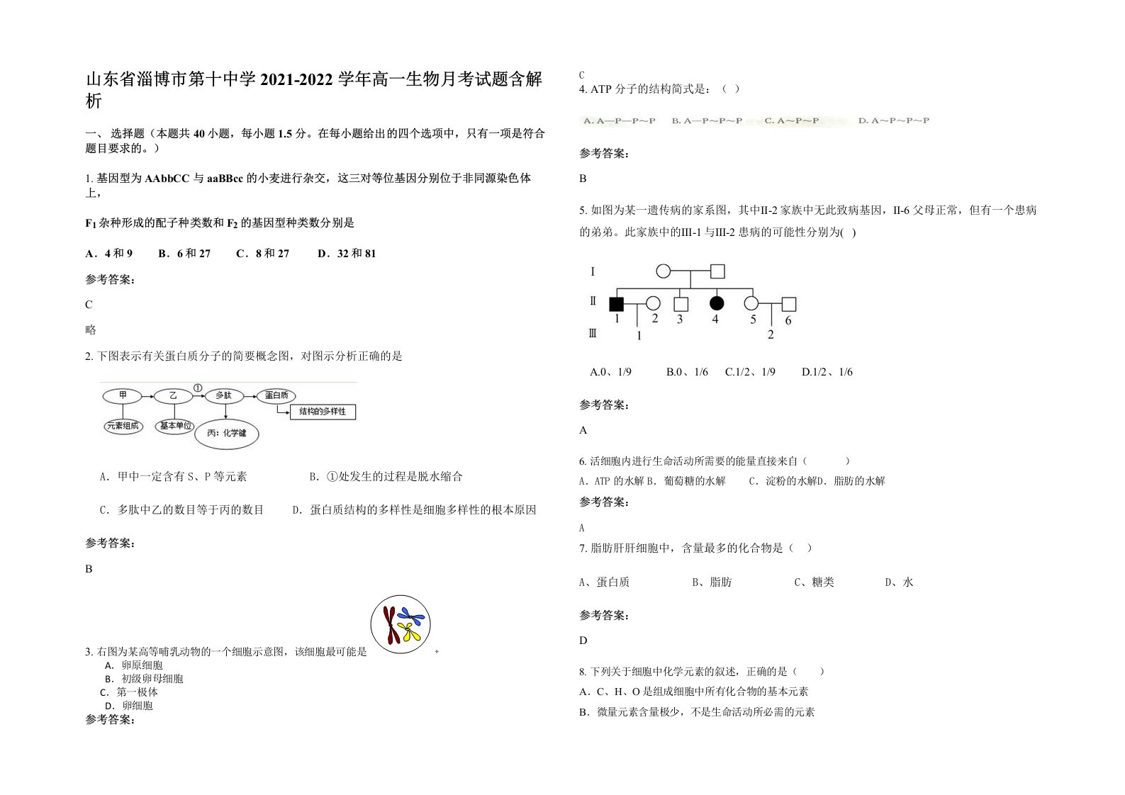 山东省淄博市第十中学2021-2022学年高一生物月考试题含解析