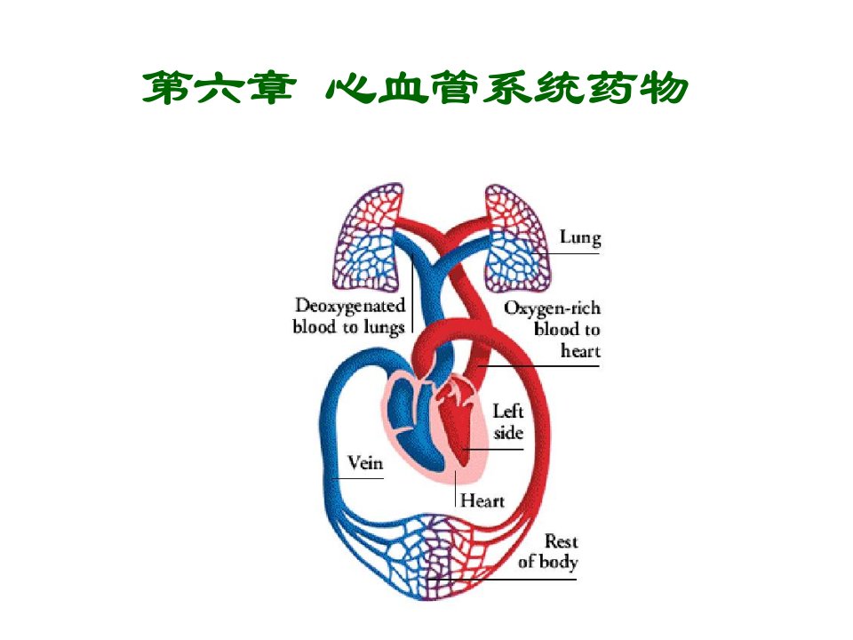 6.心血管系统药物(药物化学)课件