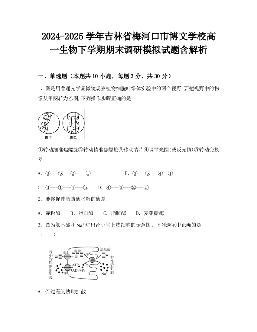 2024-2025学年吉林省梅河口市博文学校高一生物下学期期末调研模拟试题含解析