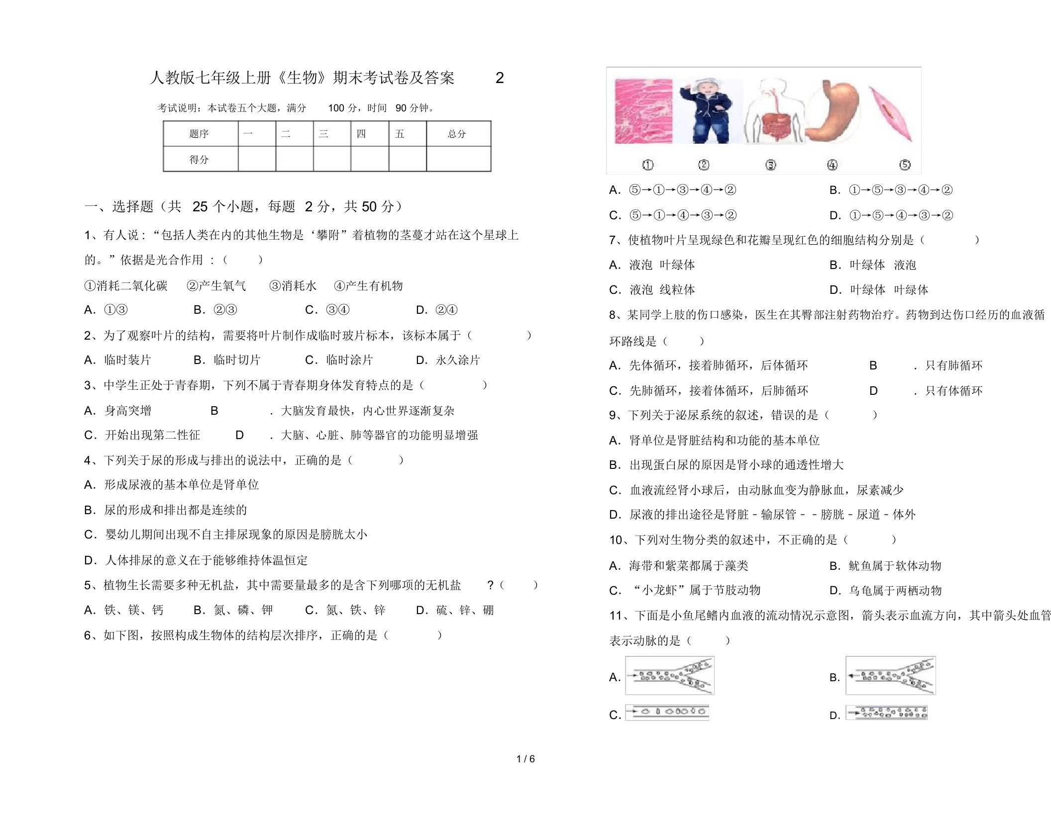 人教版七年级上册《生物》期末考试卷及答案2