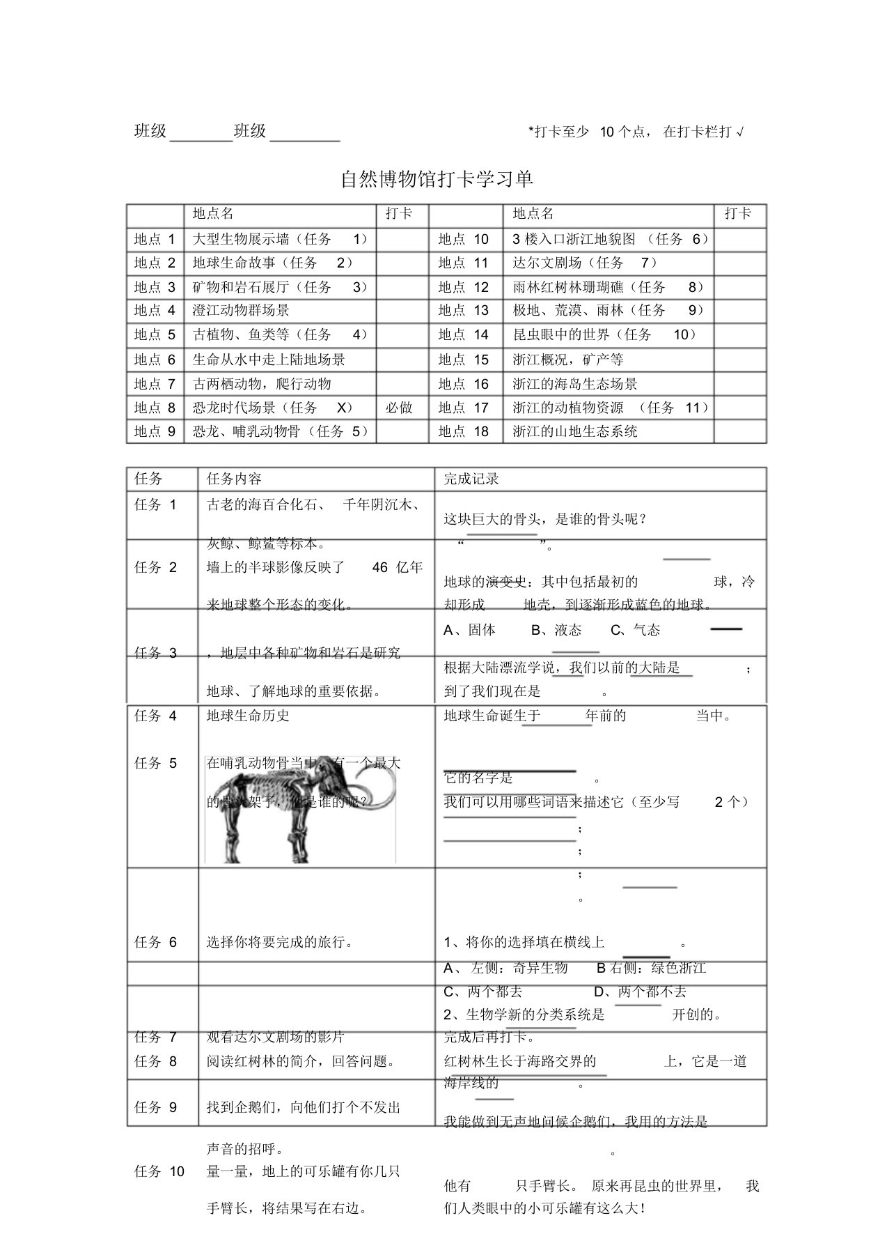 自然博物馆任务单