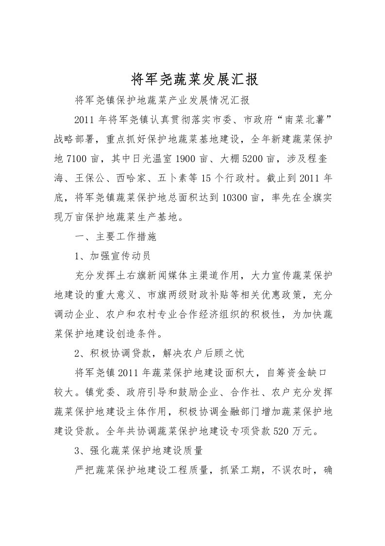 2022将军尧蔬菜发展汇报