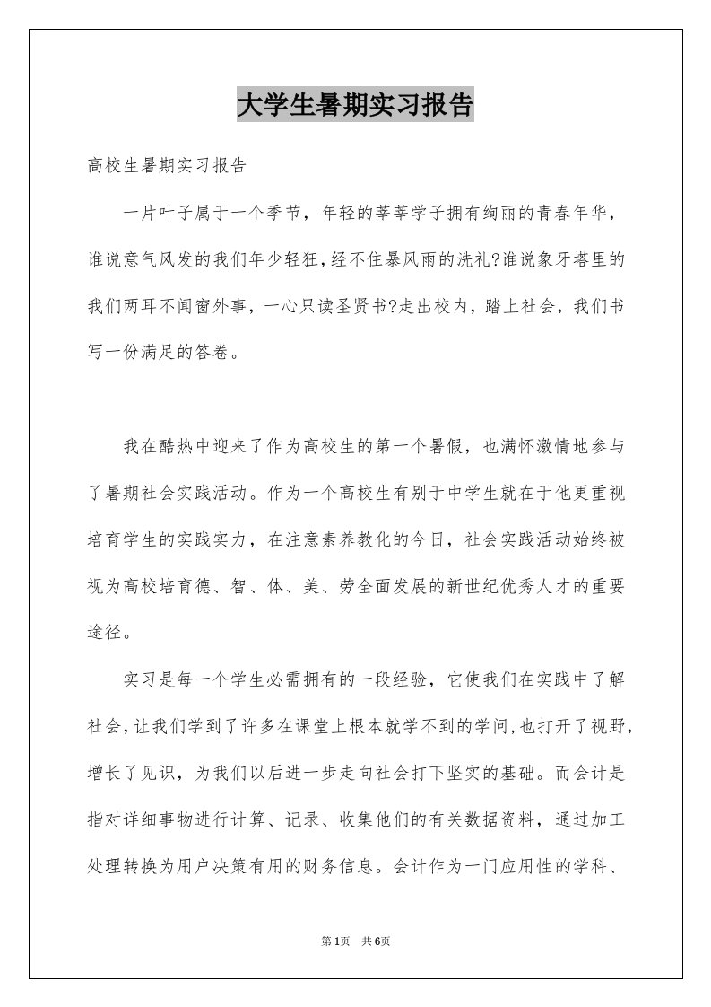 大学生暑期实习报告例文7