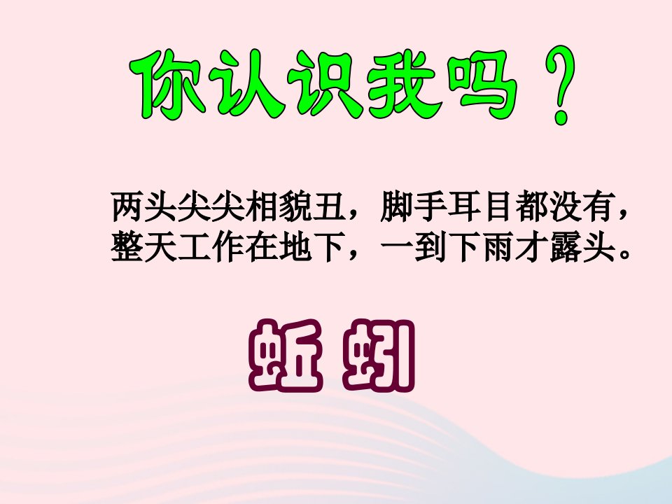 三年级科学上册2.4蚯蚓课件4教科版