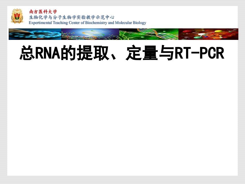 总RNA提取定量与RTPCR