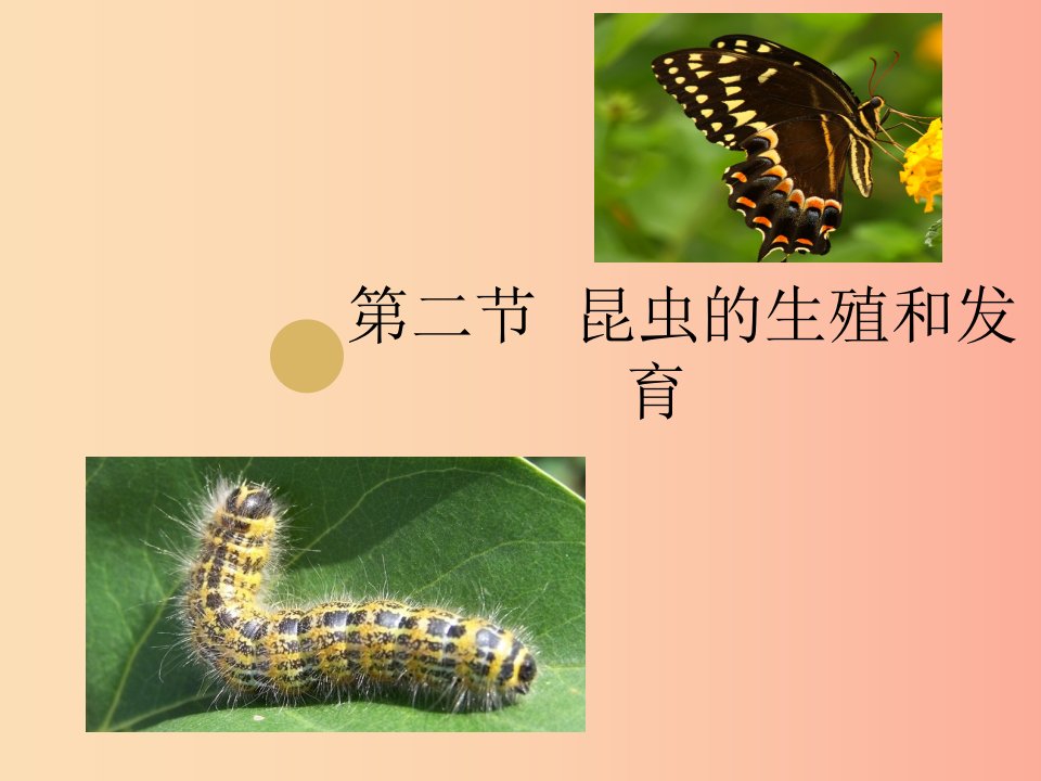 八年级生物下册