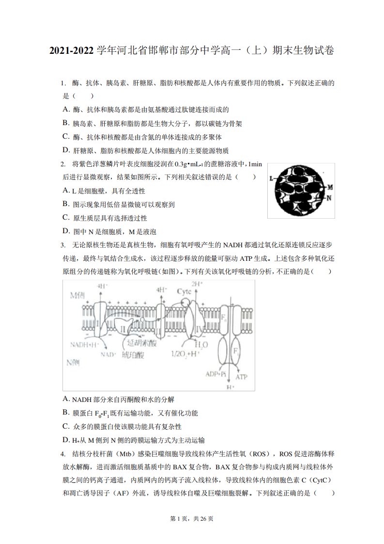 2024-2024学年河北省邯郸市部分中学高一(上)期末生物试卷(含答案解析