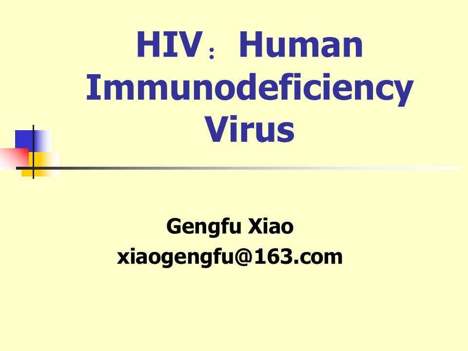 HIV病毒PPT课件