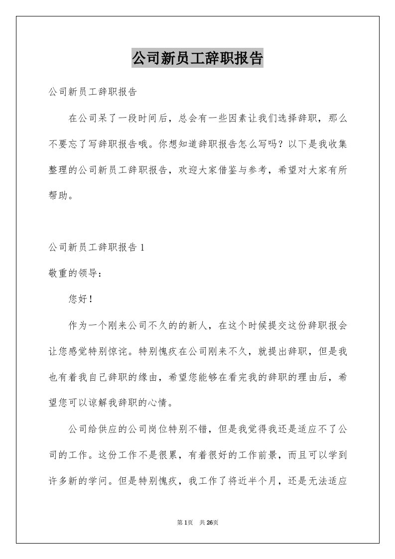 公司新员工辞职报告汇编