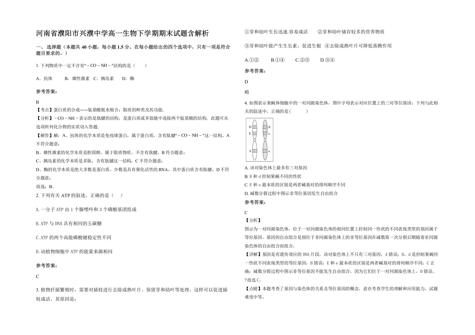 河南省濮阳市兴濮中学高一生物下学期期末试题含解析