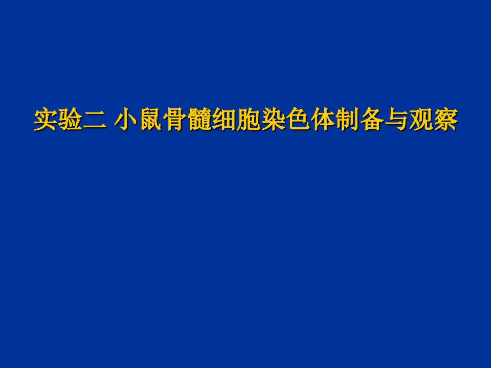 小鼠骨髓细胞染色体制备与观察