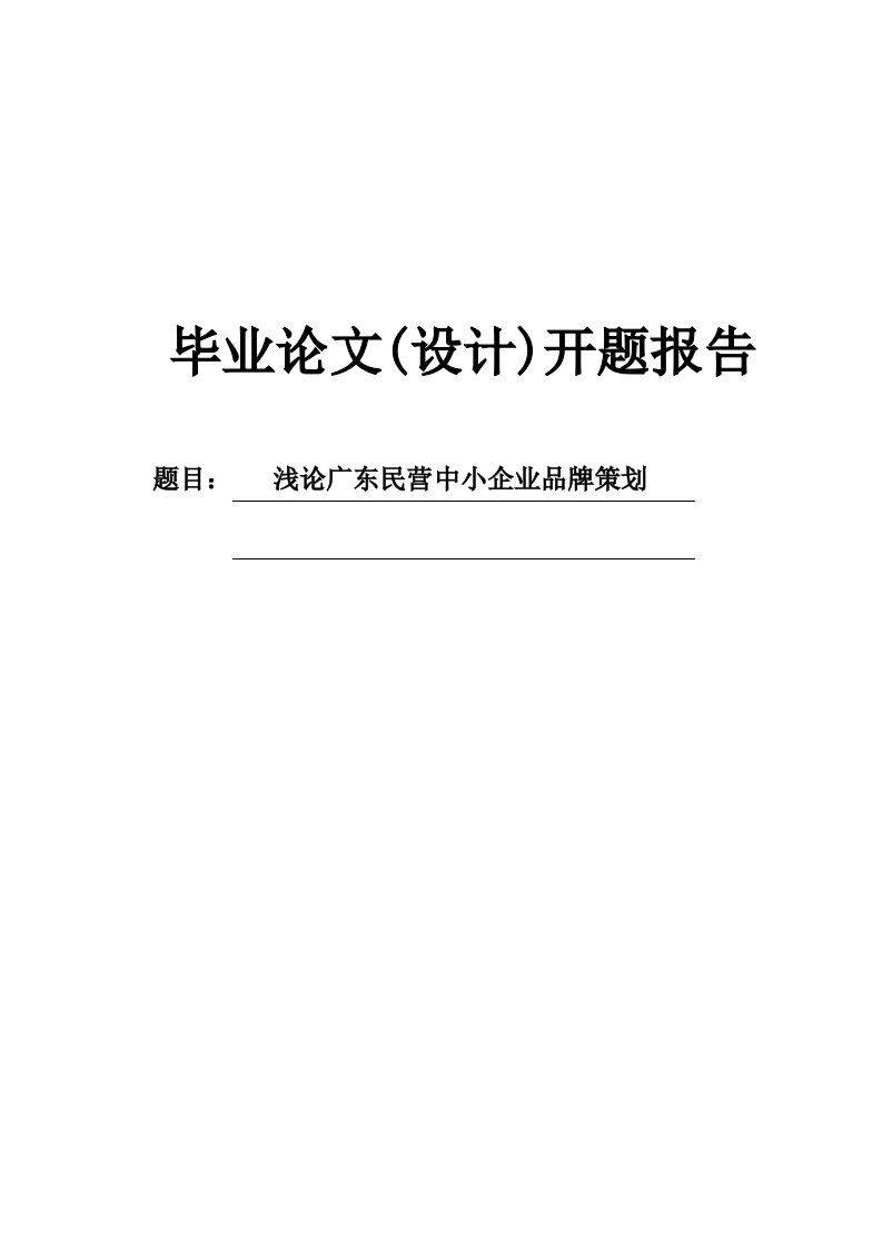 浅论广东民营中小企业品牌策划开题报告