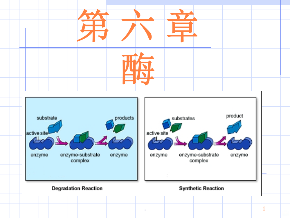 酶的基本性质及其作用