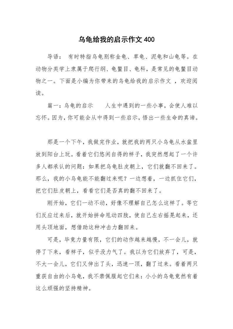 乌龟给我的启示作文400