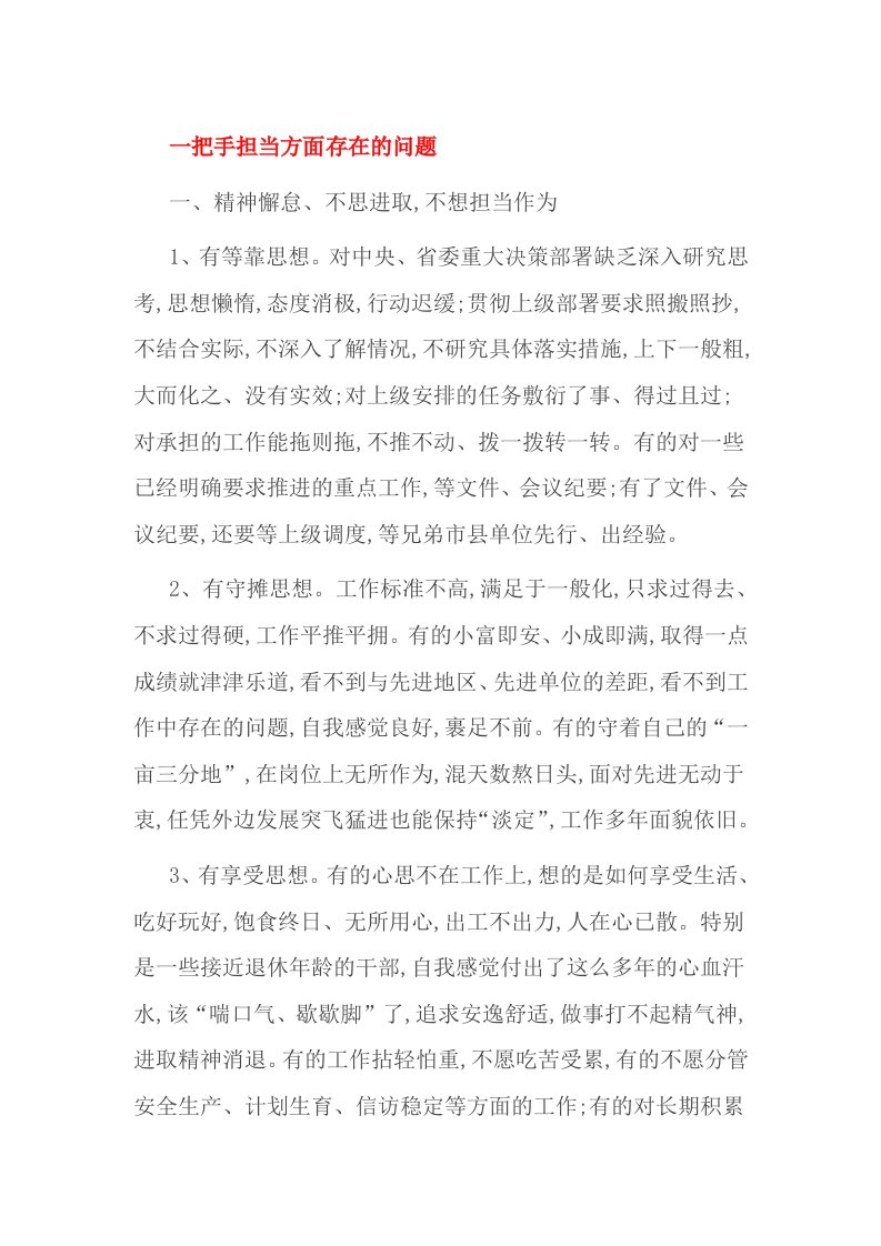 一把手担当方面存在的问题